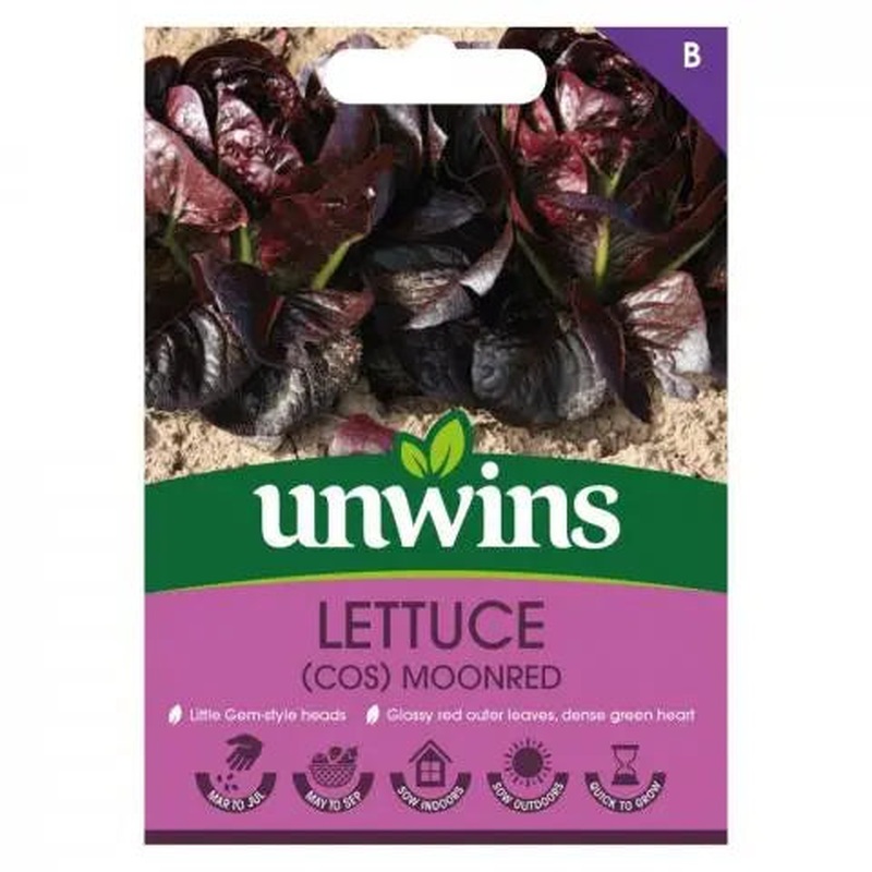 Lettuce Moonred (Little Gem Red)