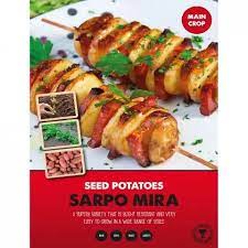 SEED POTATO SARPO MIRA 1 KG