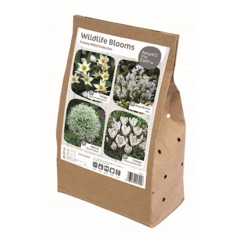 WILDLIFE CREAMY WHITE COLLECTION x 40