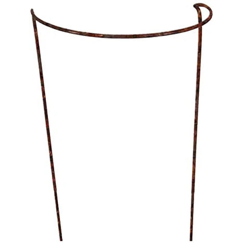 H/D Rust plant supports large