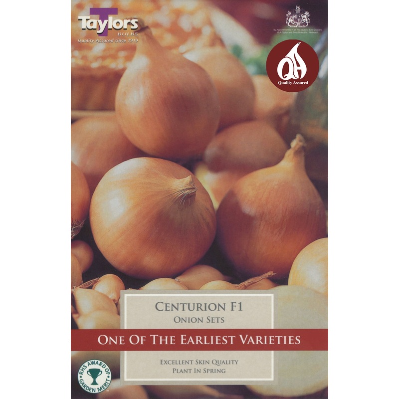 ONION CENTURION F1 X 50