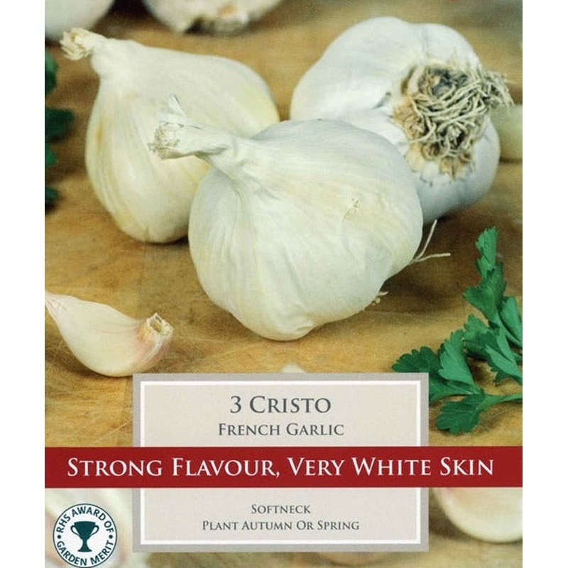 PRE PACKS FRENCH GARLIC CRISTO 2