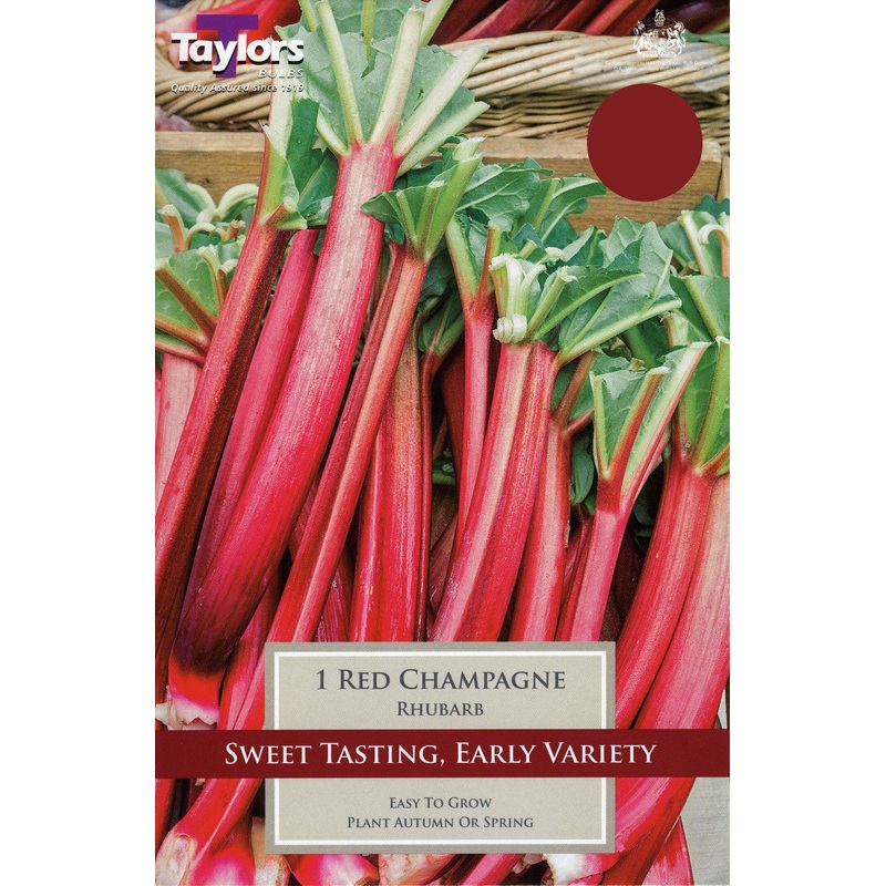 1 RHUBARB RED CHAMPAGNE