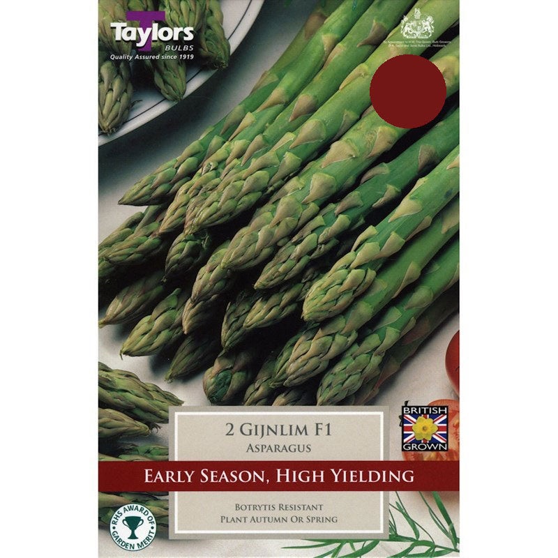 ASPARAGUS GIJNLIM X 2