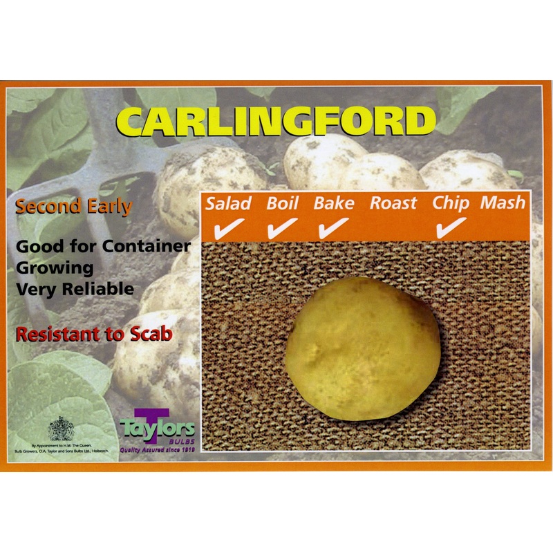 Carlingford Seed Potatoes 2kg