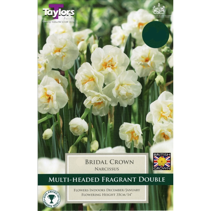 NARCISSUS BRIDAL CROWN 5