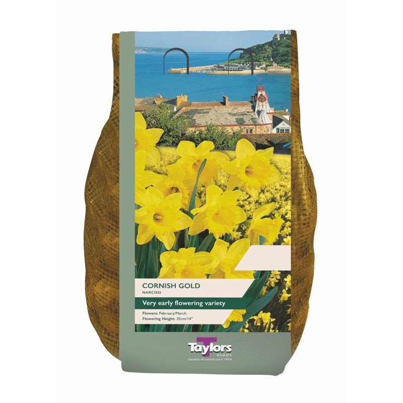 NARCISSUS CORNISH GOLD CARRI-PACK 1.5KG