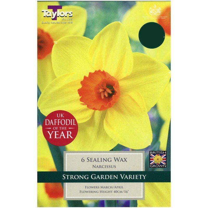 NARCISSUS SEALING WAX 7