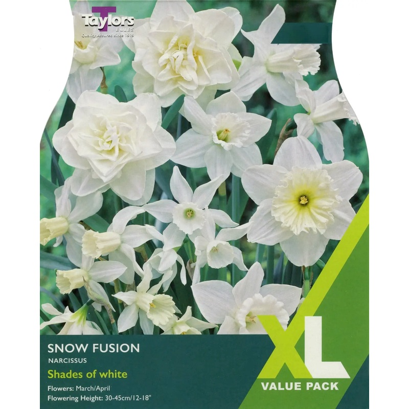 NARCISSUS SNOW FUSION 15