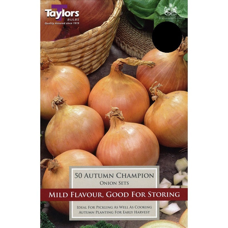 ONION AUTUMN CHAMPION 50