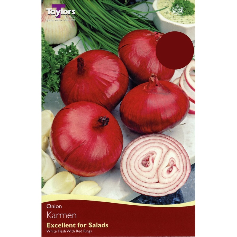 ONION KARMEN X 50