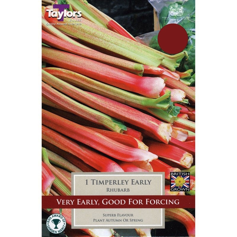 PRE-PACK RHUBARB TIMPERLEY EARLY 1