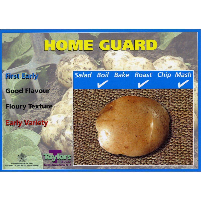 Seed Potato HOME GUARD