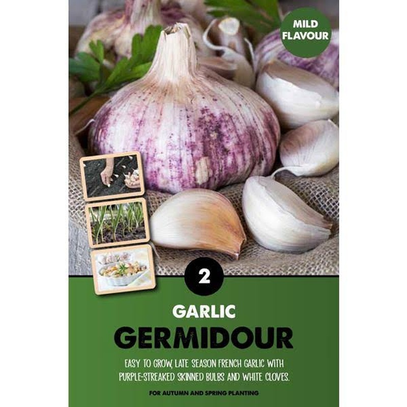 GARLIC GERMIDOUR x2