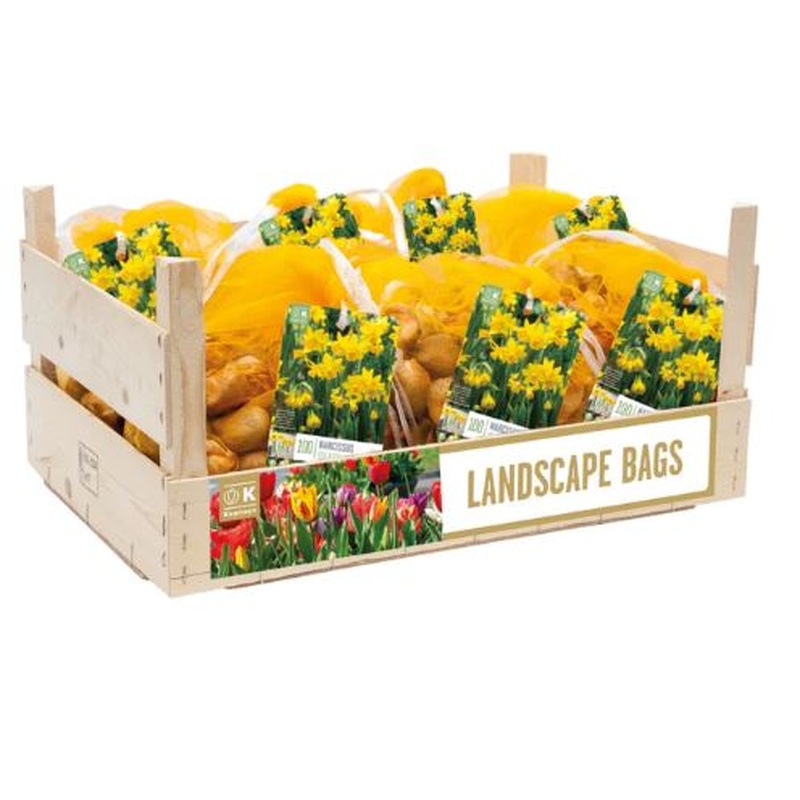 LANDSCAPE BAG NARCISSUS TETE A TETE X 100