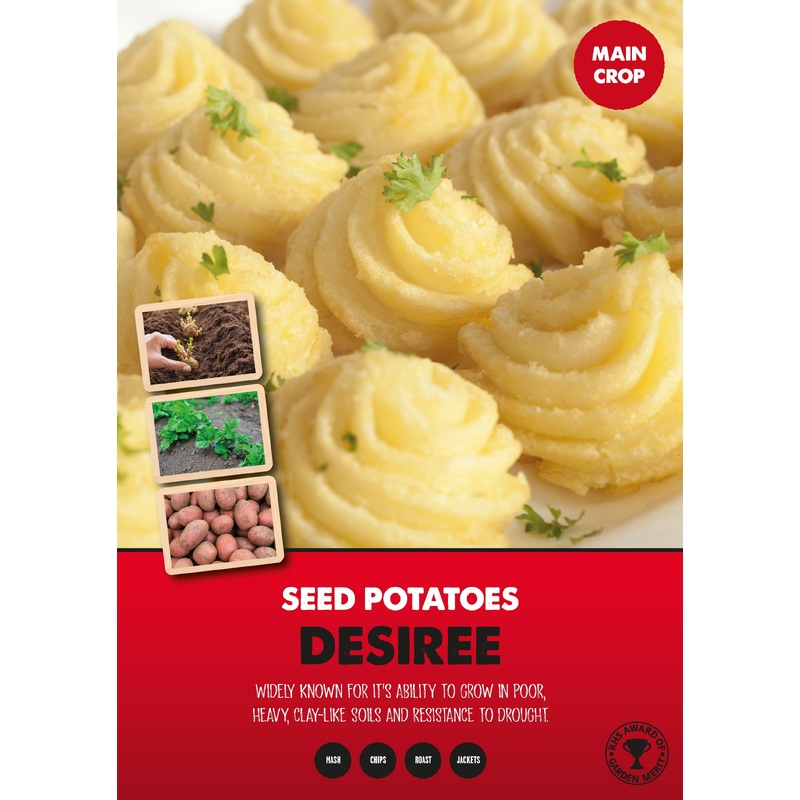 MAIN CROP DESIREE 2 KG NET