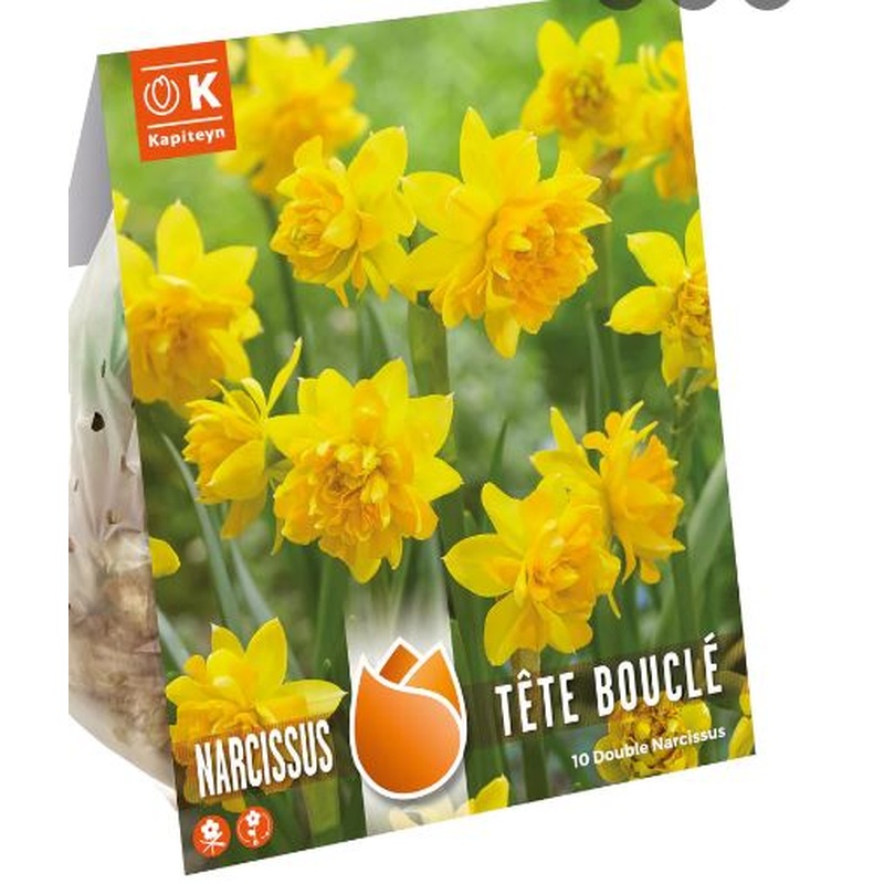 NAR BOTANICAL DOUBLE TETE BOUCLE X 10