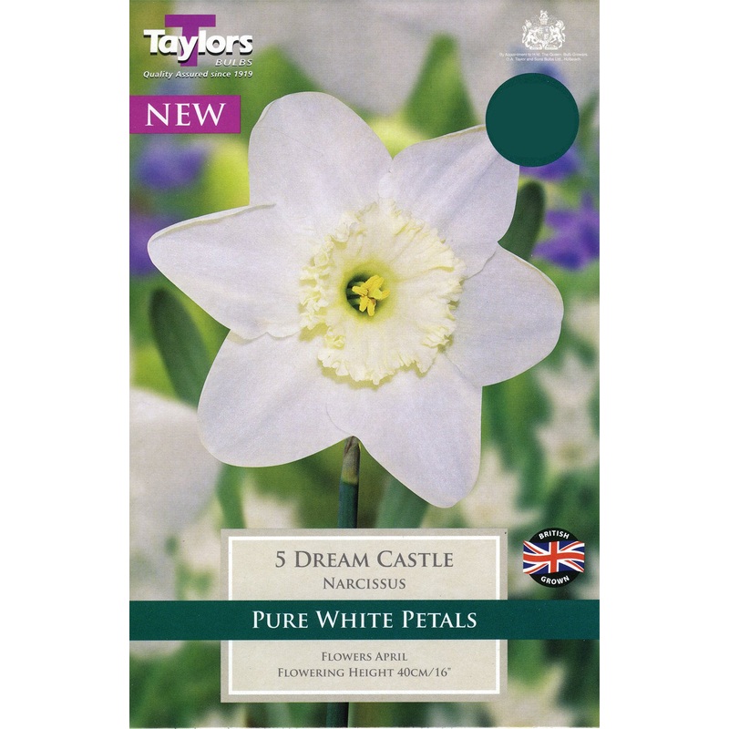 NARCISSUS DREAM CASTLE 7