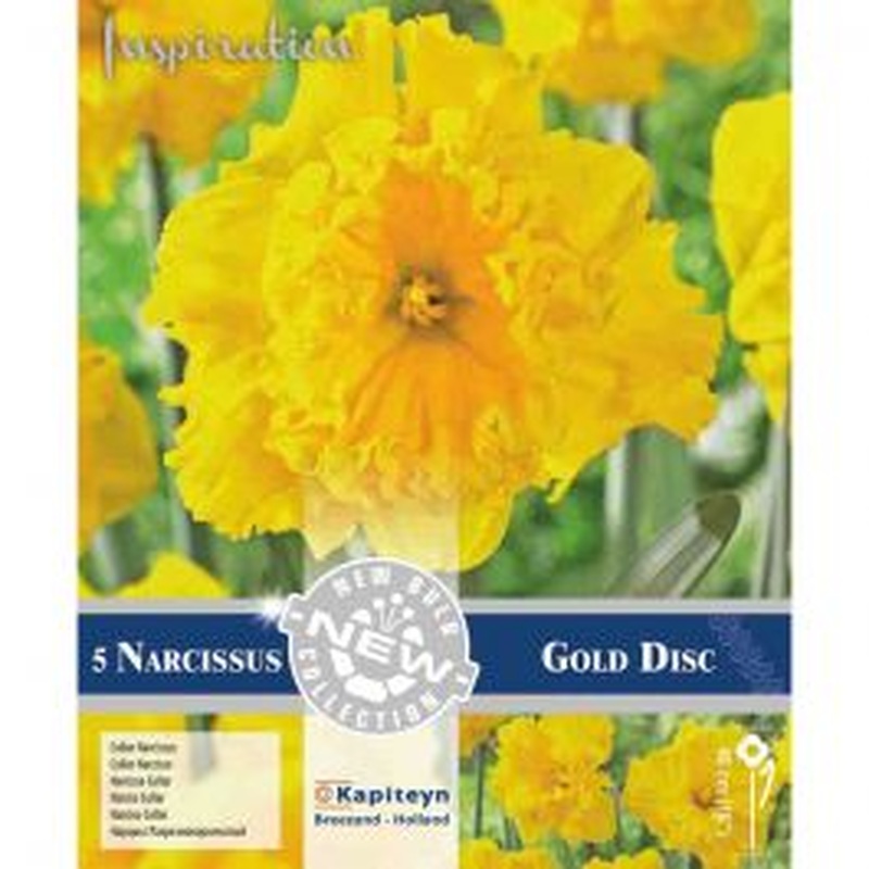 PREM NARCISSUS COLLAR GOLD DISC X 4