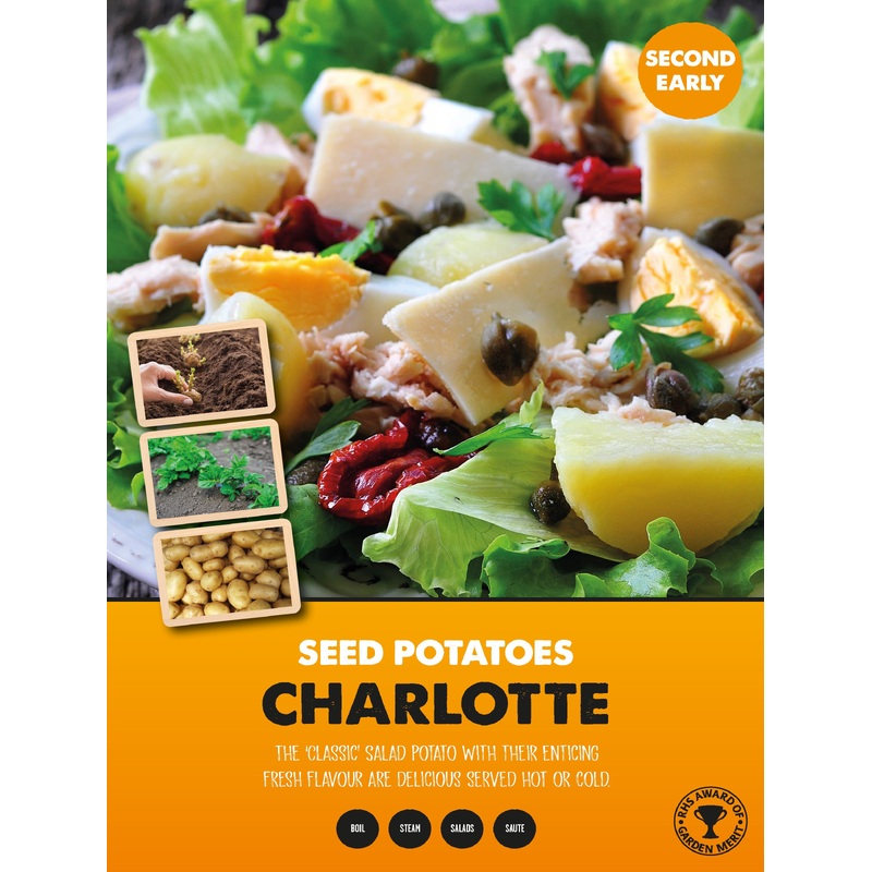 SECOND EARLIERS CHARLOTTE  2kg