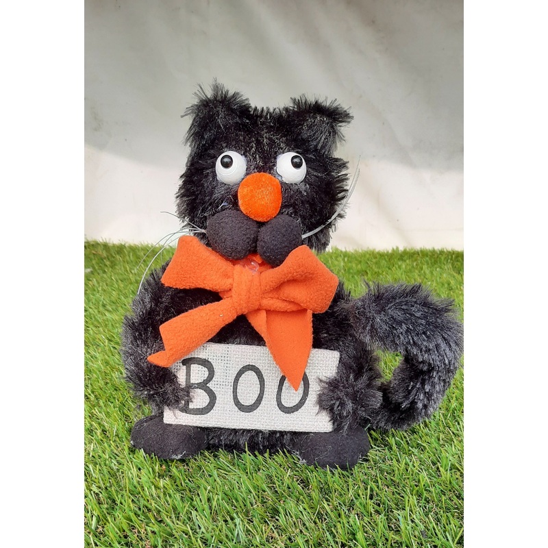 BOO  SMALL CAT