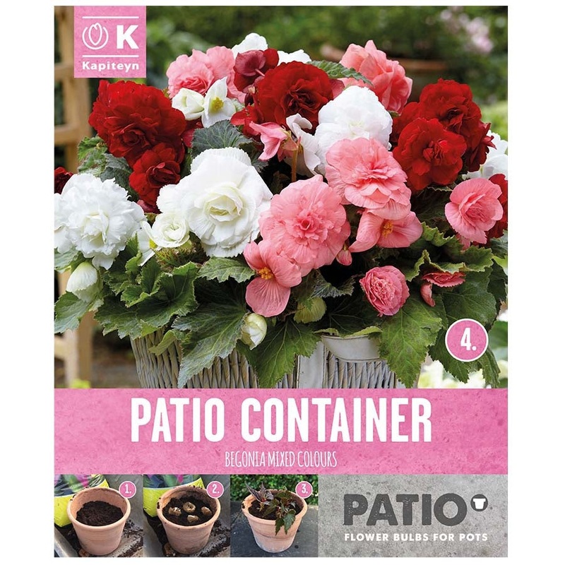 PATIO CONTAINER BEGONIA SORBET SHADES x 5