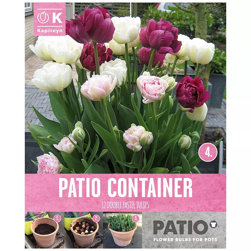 PATIO CONTAINER TULIPA PINK, PURPLE & WHITE x 12