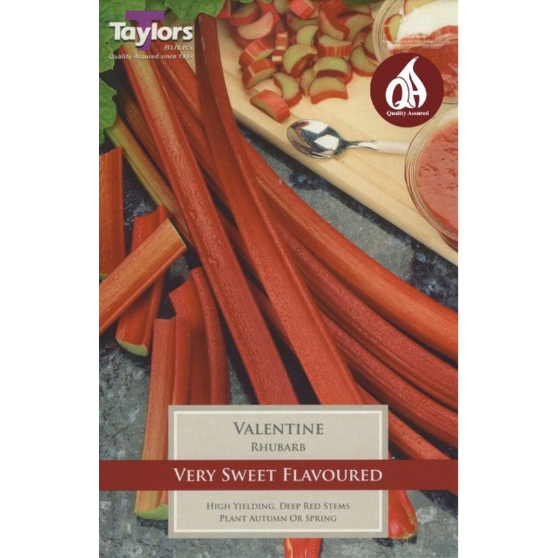 PRE PACKS RHUBARB VALENTINE 1