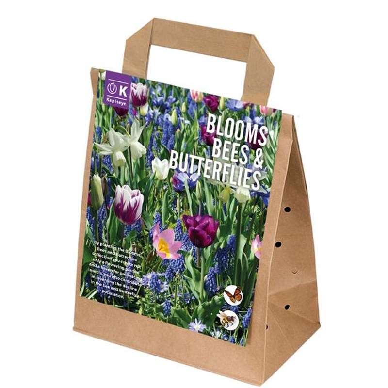 BLOOMS, BEES & BUTTERFLIES BLUE x 50