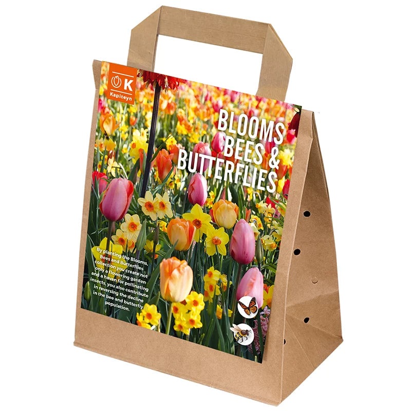 BLOOMS, BEES & BUTTERFLIES PASTEL x 25