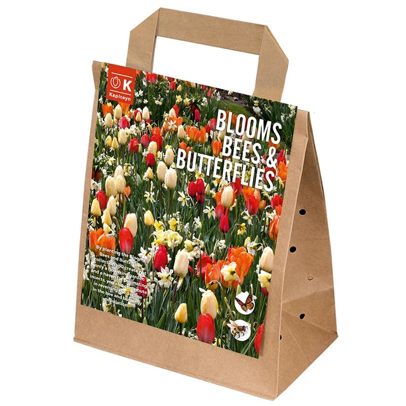 BLOOMS, BEES & BUTTERFLIES SUNSHINE x 25