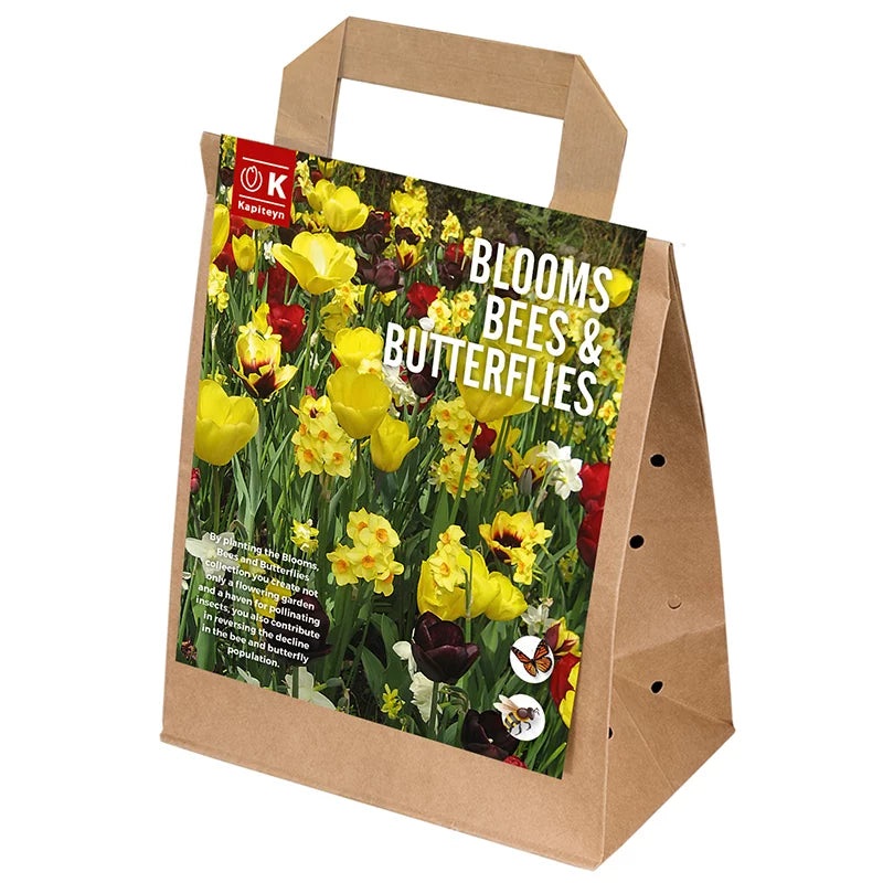 BLOOMS, BEES & BUTTERFLIES YELLOW & MAROON x 25