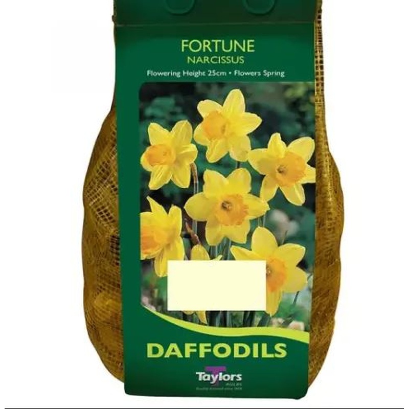 NARCISSUS FORTUNE CARRI-PACK 1.5KG