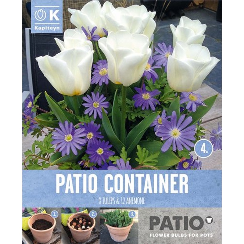 PATIO CONTAINER TULIPA WHITE & ANEMONE BLUE x 20
