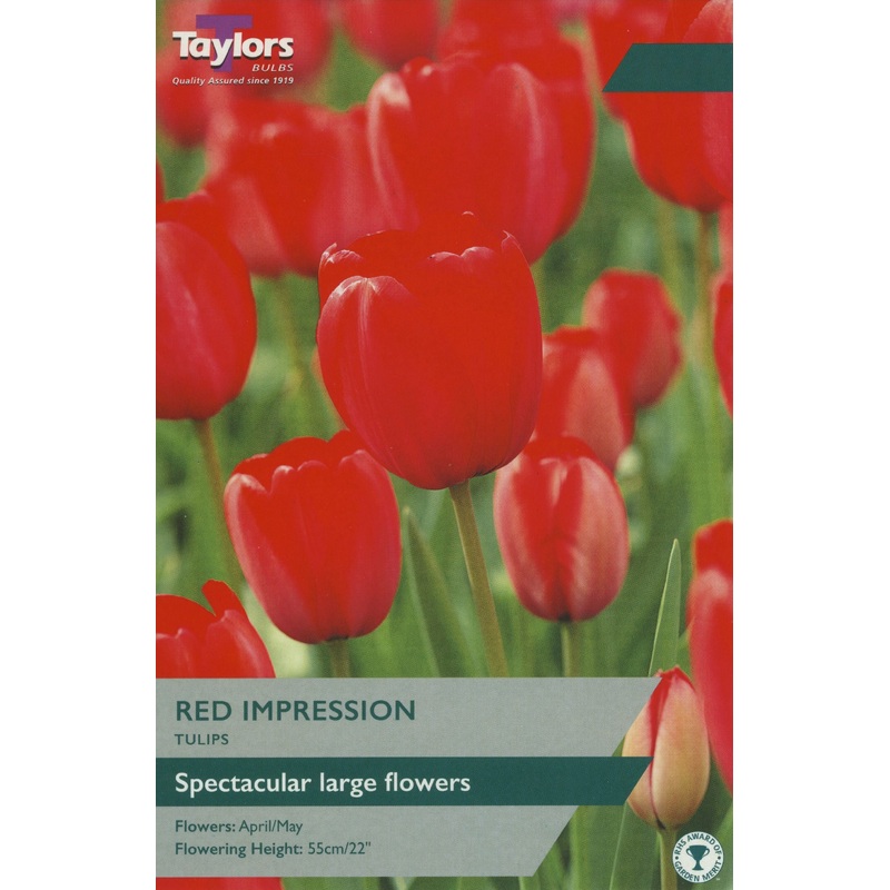TULIP RED IMPRESSION x 18