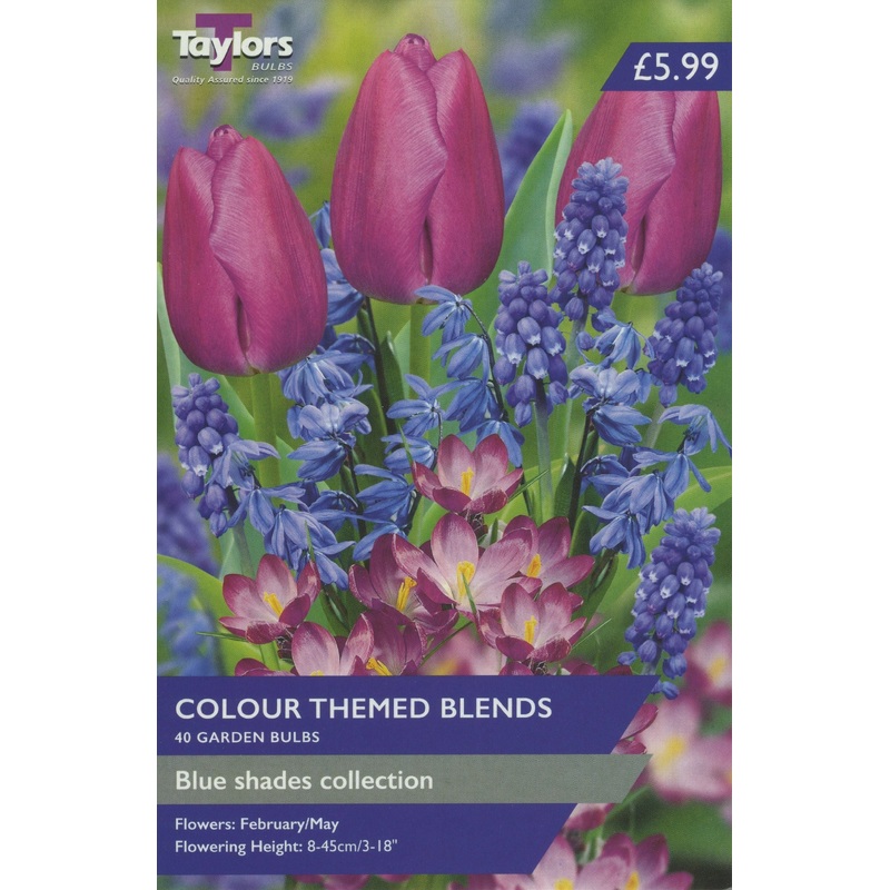 BLUE SHADES COLLECTION