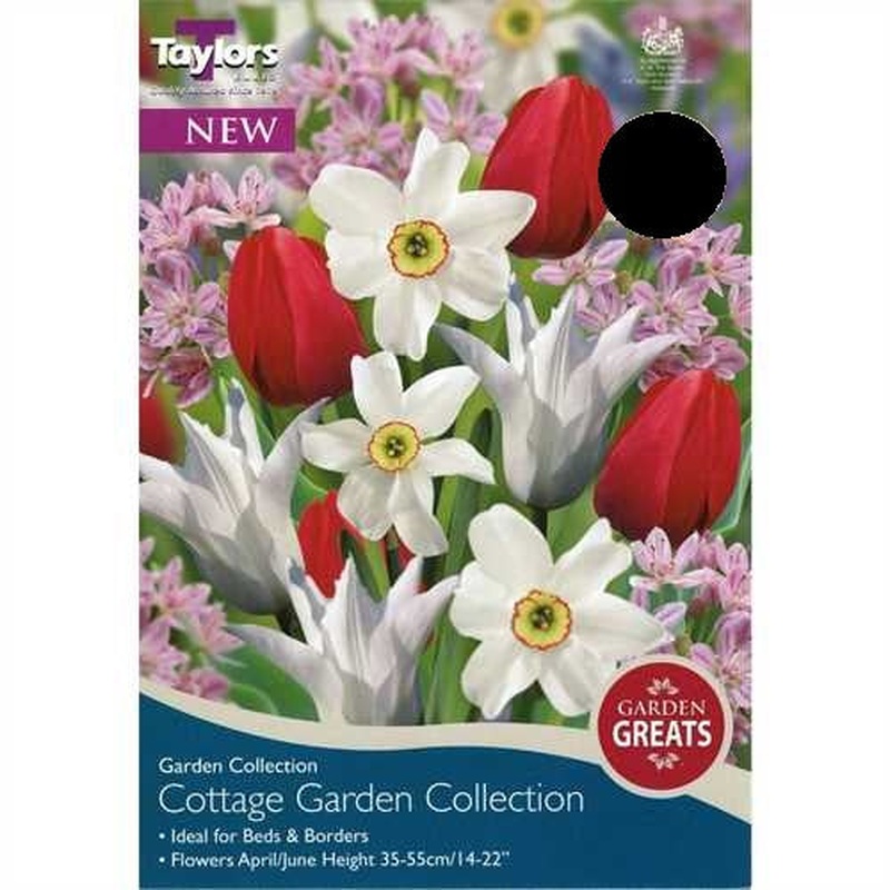 COTTAGE GARDEN COLLECTION 50