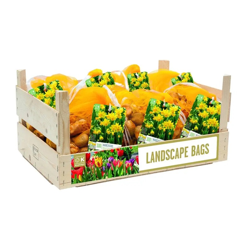 LANDSCAPE BAG NARCISSUS TETE A TETE x 50