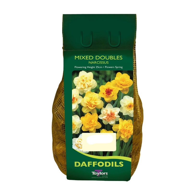 NARCISSI MIXED DOUBLES CARRI-PACK