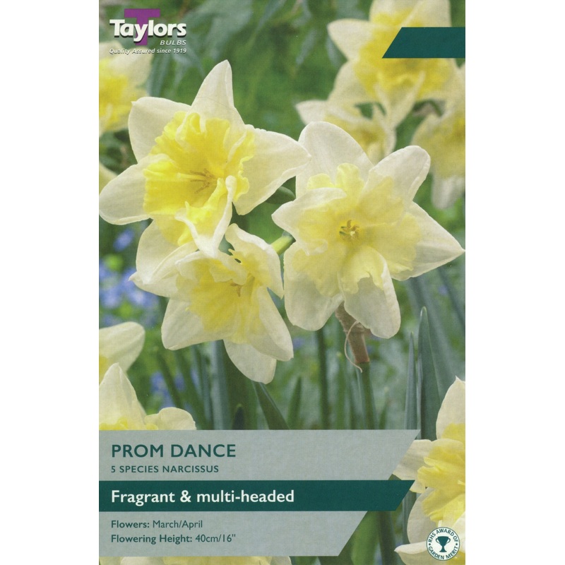 NARCISSUS PROM DANCE 5