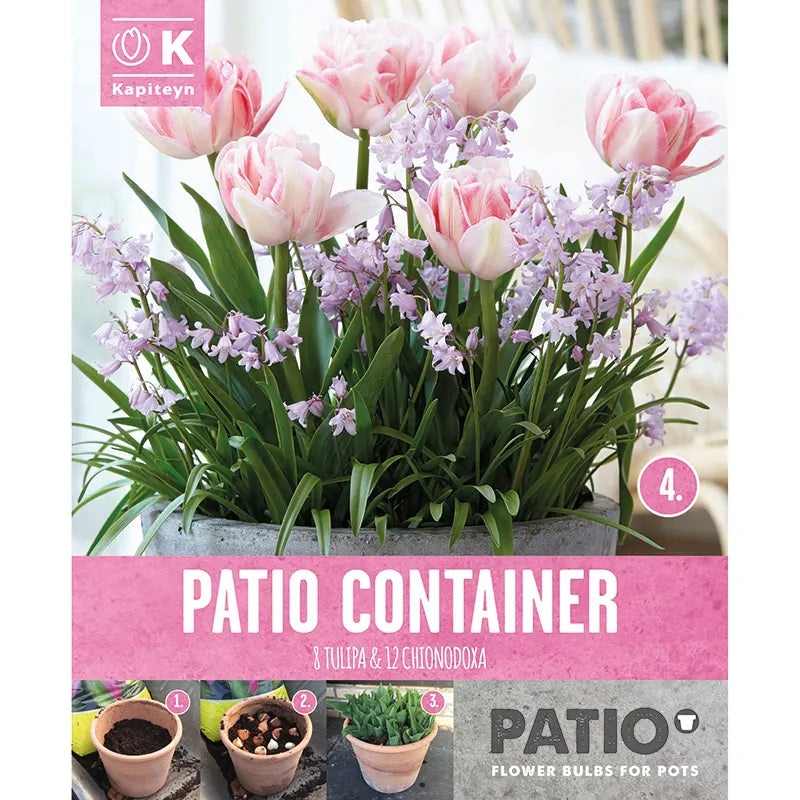 PATIO CONTAINER TULIPA & CHIONODOXA x 20