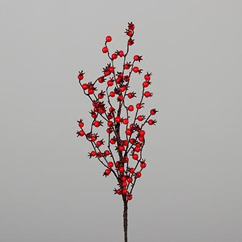 Rosehip Branch (75 cm)