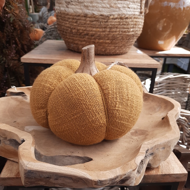 Pumpkin Gautal Mustard Medium