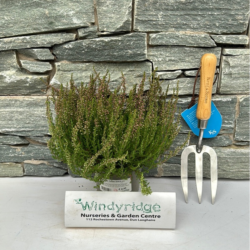 Calluna v. Garden Girls