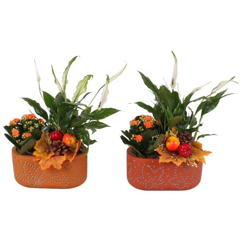 Autumn indoor arrangement / 19 cm ceramic pot