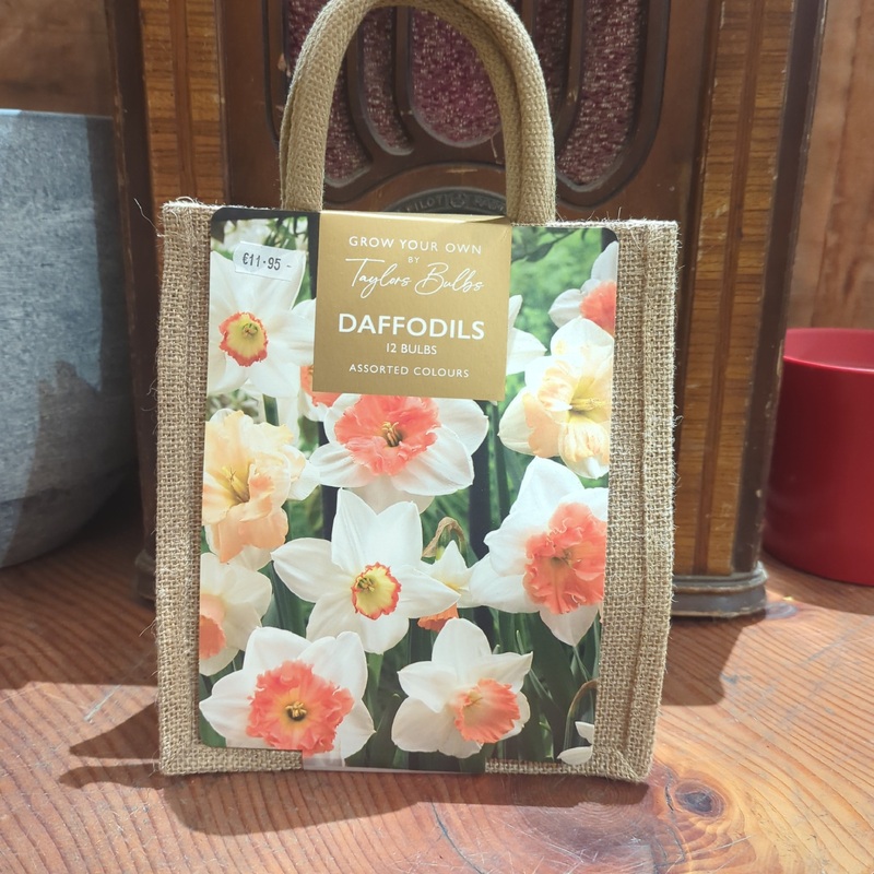 DAFFODIL JUTE GIFT BAG 12