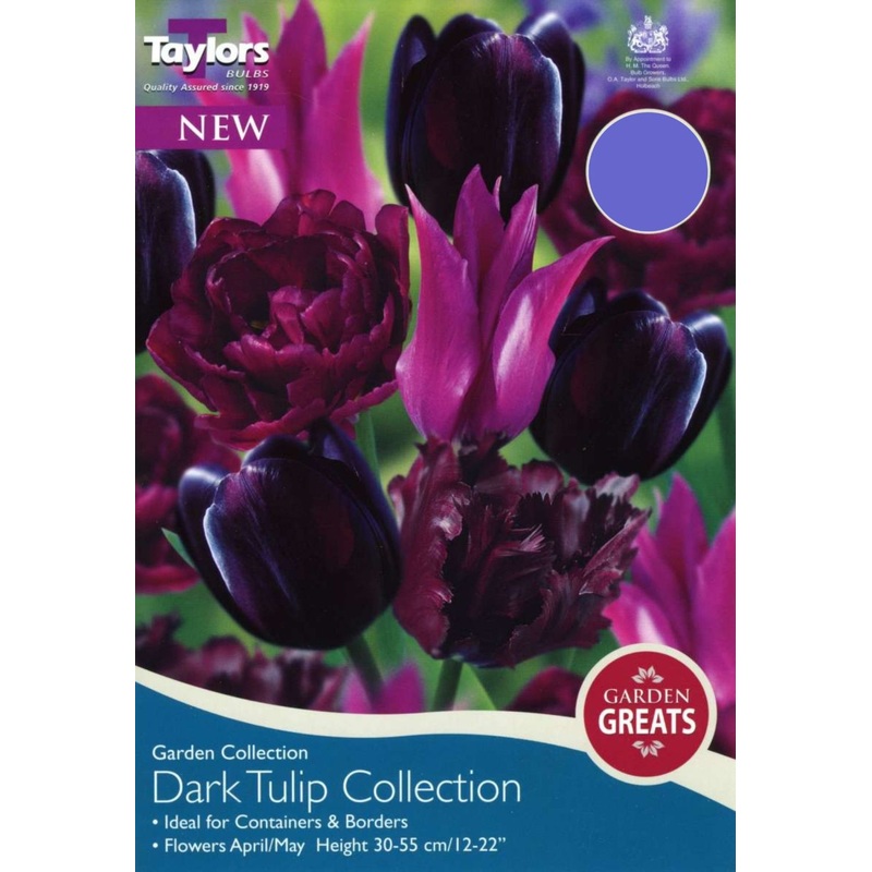 DARK TULIP COLLECTION