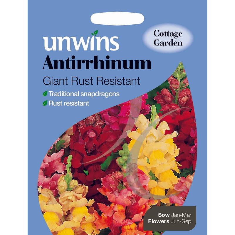 Antirrhinum Giant Rust Resistant