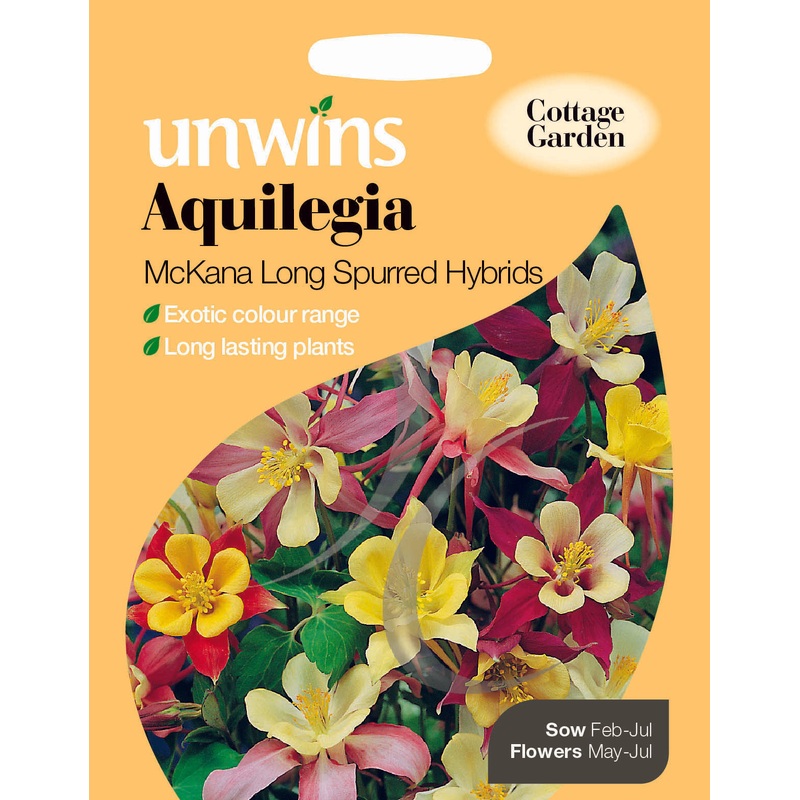 Aquilegia Mckana Long Spurred Hybrids