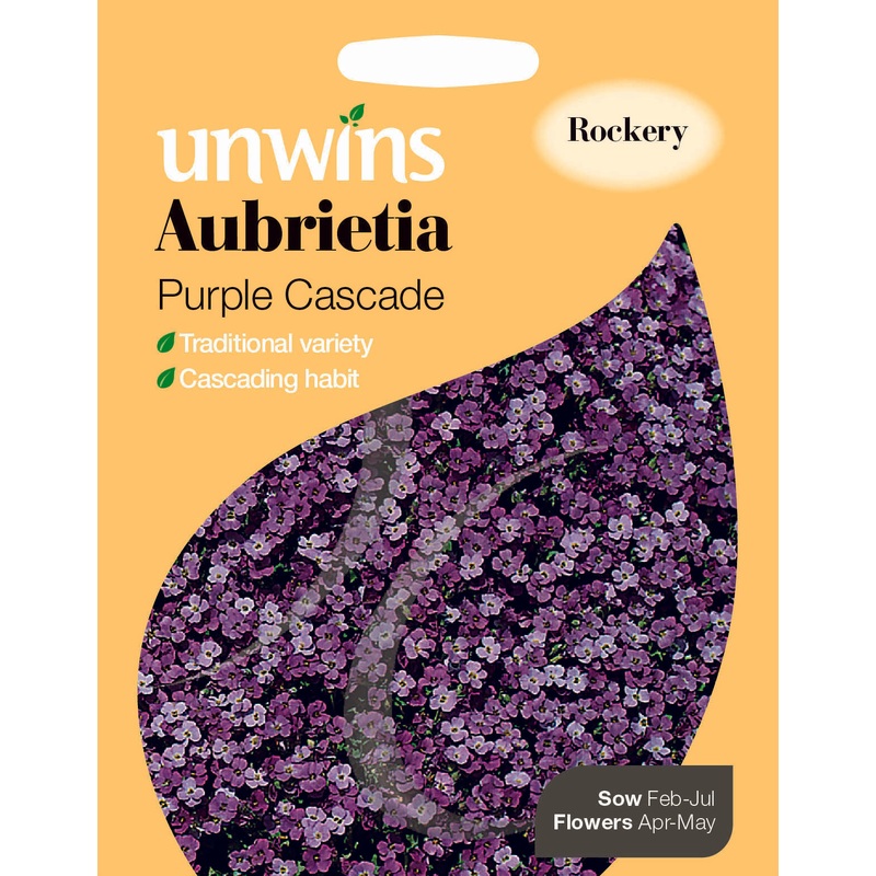 Aubrietia Purple Cascade